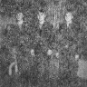 курсанты  ТМУРП победители социалистического соревнования, проходившие практику на УС Крузенштерн - 24 11 1987